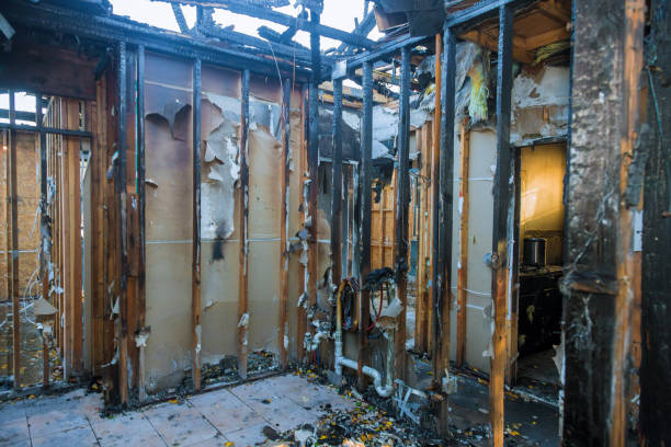 Professional Fire Damage Assessment technician working in Tropical Park, FL